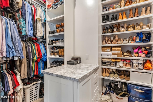 4132 N 42nd St, Phoenix, AZ 85018 - view of walk in closet