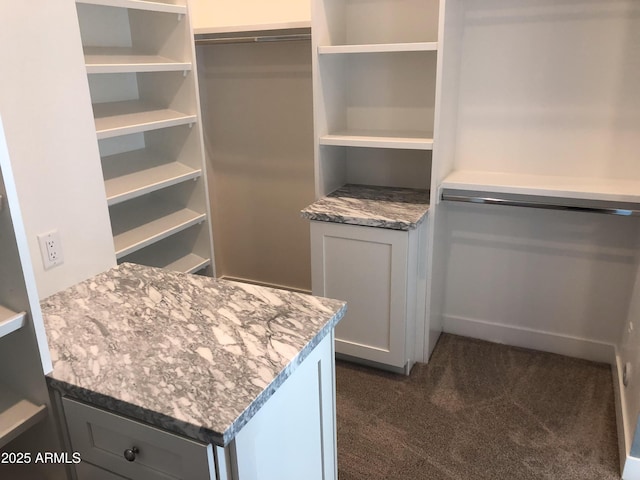 4132 N 42nd St, Phoenix, AZ 85018 - walk in closet featuring dark colored carpet