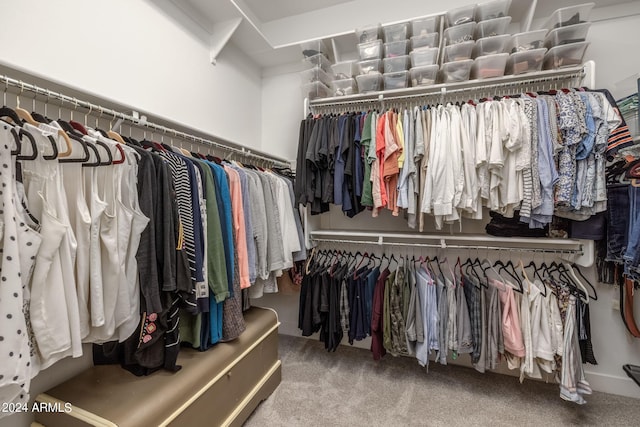 walk in closet with carpet flooring