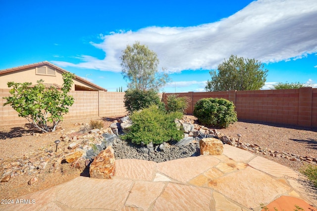 view of yard featuring a patio