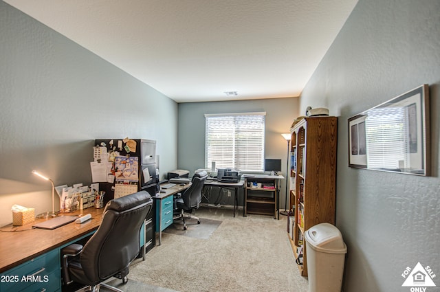 view of carpeted home office