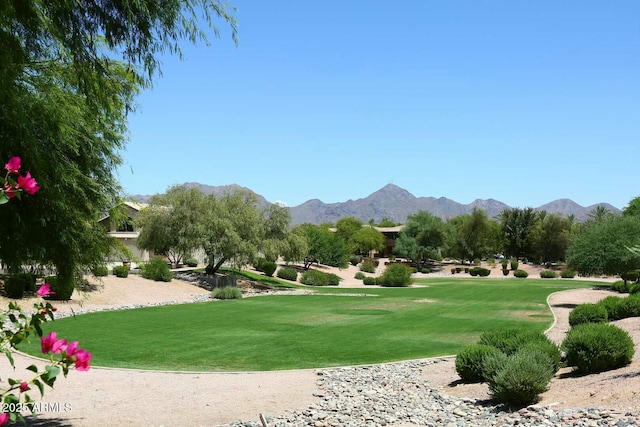 view of property's community with a yard and a mountain view