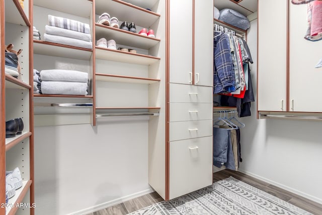 13102 S 177th Dr, Goodyear, AZ 85338 - view of spacious closet