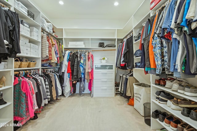 spacious closet with light carpet