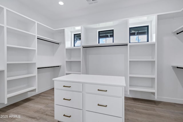 26619 S 169th Pl, Queen Creek, AZ 85142 - walk in closet with light wood-type flooring