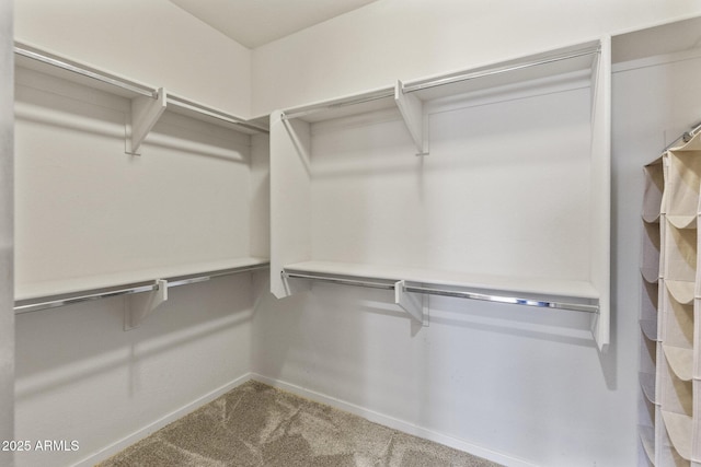 spacious closet with carpet