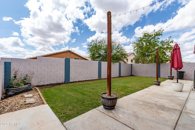 view of yard featuring a patio and a fenced backyard