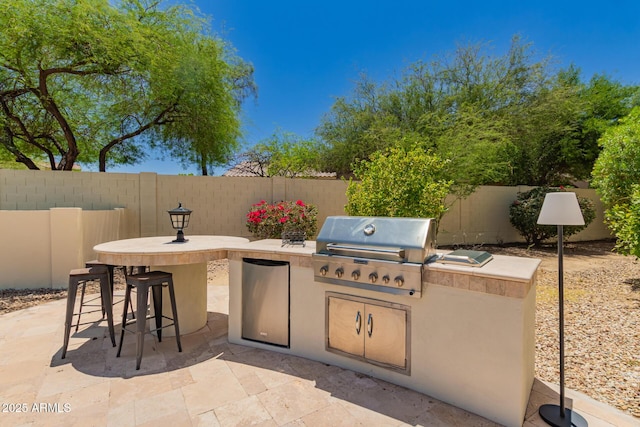 20409 W Thayer St, Buckeye, AZ 85396 - fenced backyard featuring exterior kitchen and a patio area