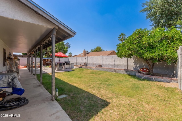 view of yard with a patio area