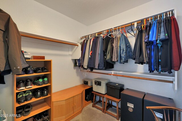6993 S Sharon Ct, Chandler, AZ 85249 - view of spacious closet