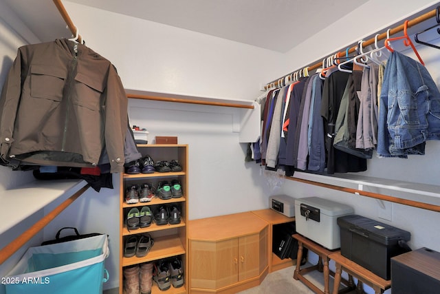 6993 S Sharon Ct, Chandler, AZ 85249 - view of spacious closet