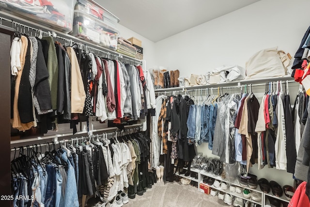 spacious closet featuring carpet floors