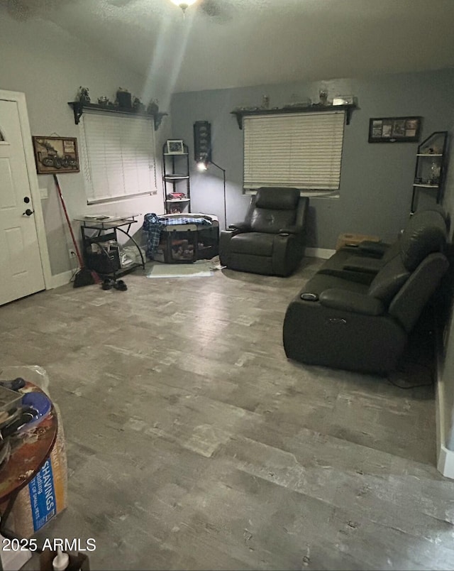 living area featuring wood finished floors and vaulted ceiling