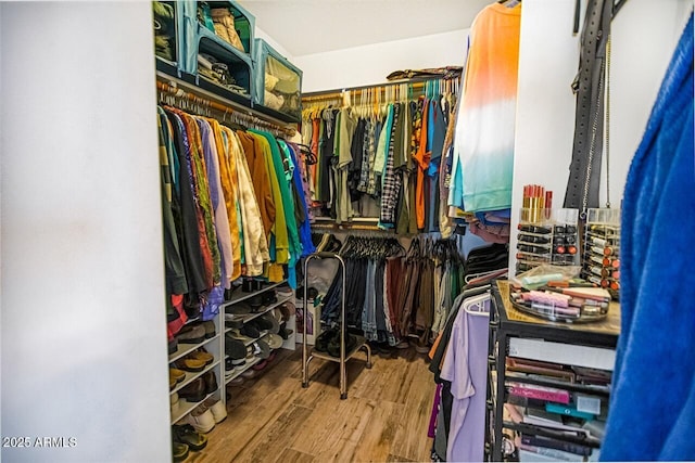 spacious closet with hardwood / wood-style floors