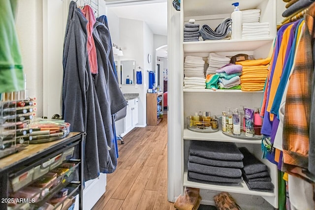 walk in closet with light hardwood / wood-style flooring