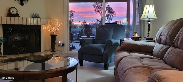 living room featuring carpet floors