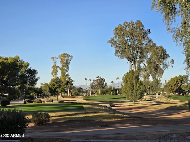 view of community featuring a lawn