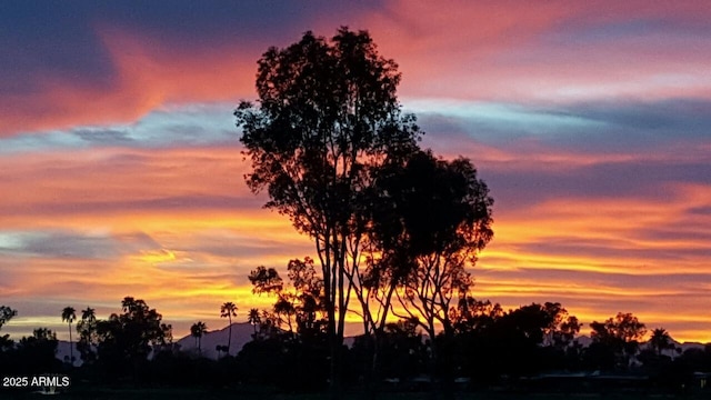 view of nature at dusk