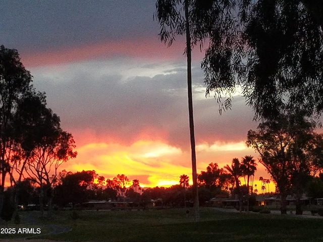 view of nature at dusk