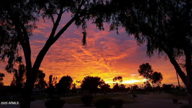 view of nature at dusk