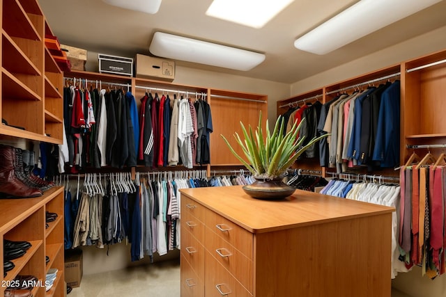 view of spacious closet