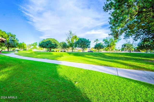 view of property's community featuring a yard