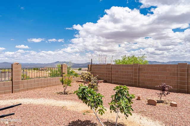 1398 W Sheep Wash Way, Benson, AZ 85602 - fenced backyard with a mountain view