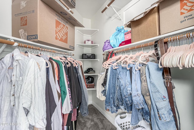 spacious closet featuring carpet floors