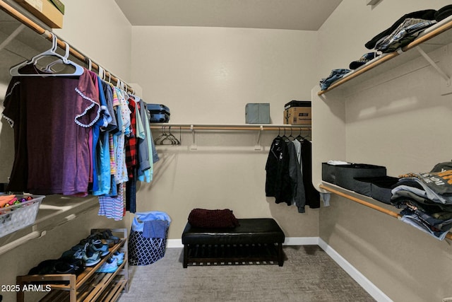 walk in closet featuring carpet