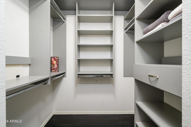 view of walk in closet