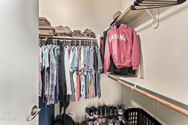 view of spacious closet