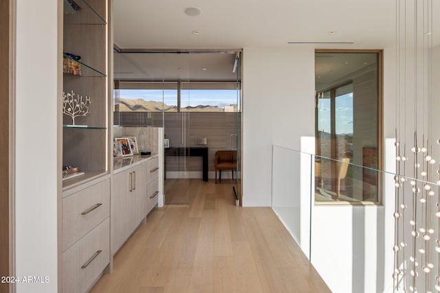 corridor with light hardwood / wood-style flooring