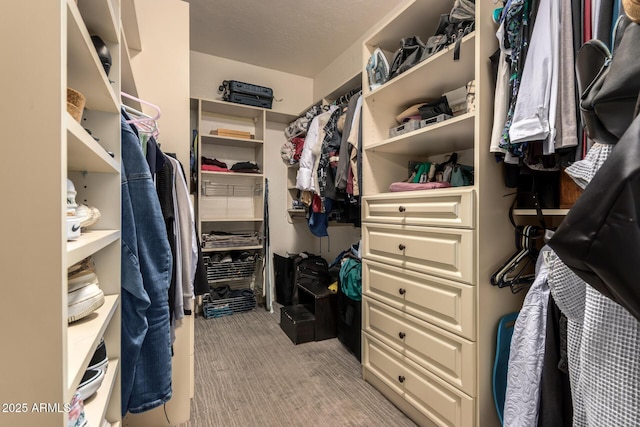 1751 W Mulberry Dr, Chandler, AZ 85286 - spacious closet featuring light colored carpet