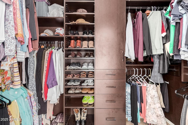 view of closet