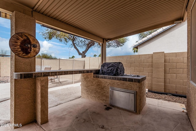 view of patio / terrace with a fenced backyard and area for grilling