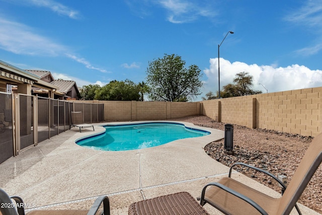 view of pool with a fenced in pool, a patio area, and a fenced backyard