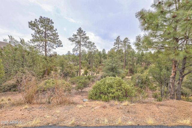 505 N Grapevine Dr Unit 434, Payson AZ, 85541 land for sale