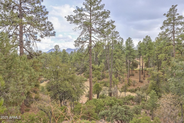 Listing photo 2 for 505 N Grapevine Dr Unit 434, Payson AZ 85541