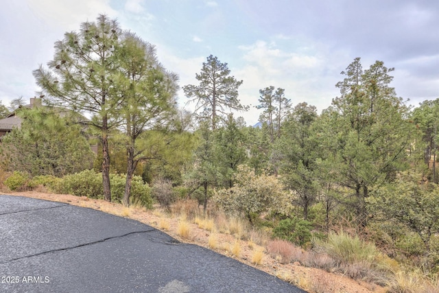 Listing photo 3 for 505 N Grapevine Dr Unit 434, Payson AZ 85541