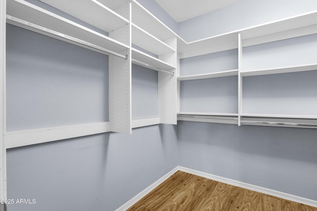 16210 E Links Dr, Fountain Hills, AZ 85268 - spacious closet with wood finished floors