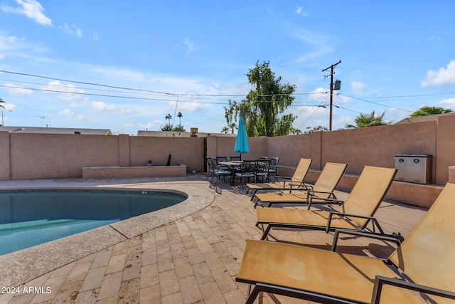 view of swimming pool with a patio