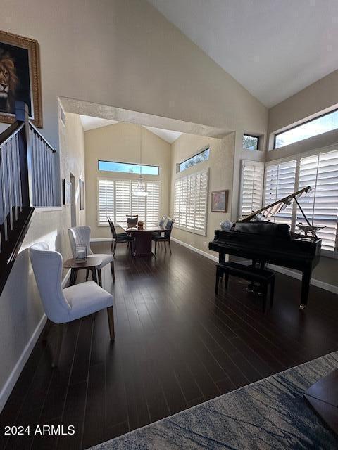 living area featuring dark wood-type flooring and high vaulted ceiling