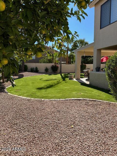 view of yard featuring a patio