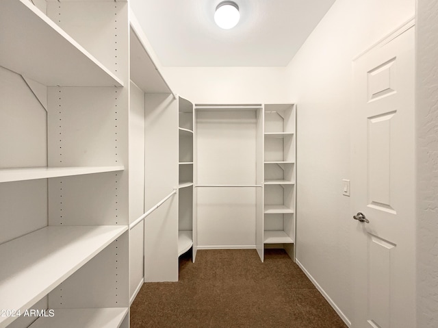 walk in closet with dark colored carpet