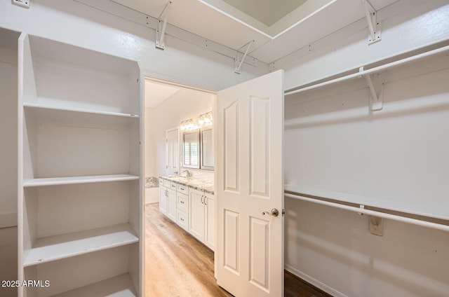 spacious closet with sink and light hardwood / wood-style floors