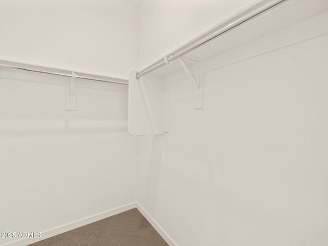 spacious closet featuring carpet