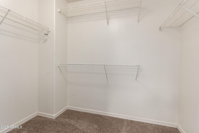 7029 S Golfside Ln, Phoenix, AZ 85042 - walk in closet with carpet flooring