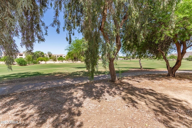 7029 S Golfside Ln, Phoenix, AZ 85042 - view of community featuring a yard
