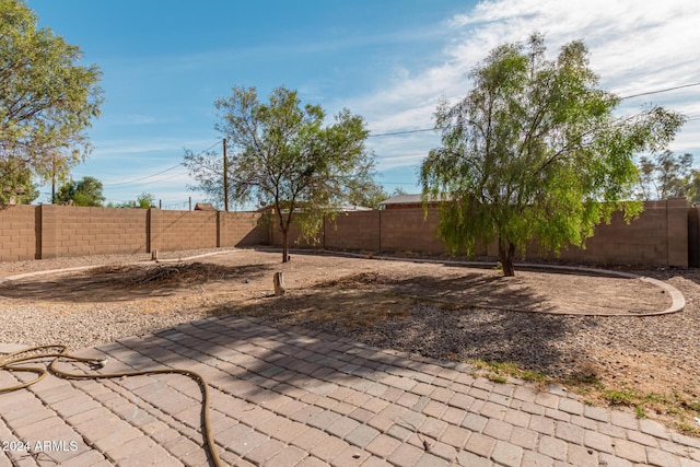 view of yard with a patio area and a fenced backyard