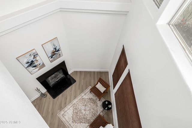 living room featuring light hardwood / wood-style floors